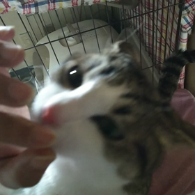 構ってちゃん(*´ω｀*)の画像