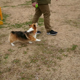 なんで～(笑)の画像