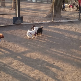 楽しかったの画像