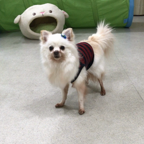 ♪プレイルーム動画♪の画像