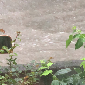 ゲリラ豪雨の画像