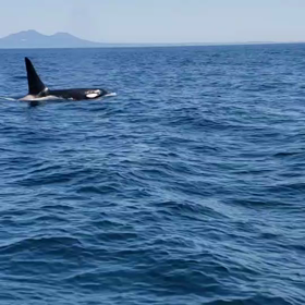 梅雨入りですっての画像