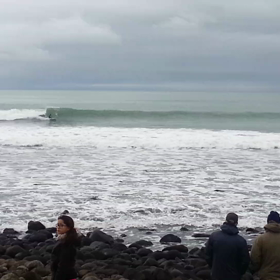 大会MOVIEの画像