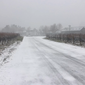 冬の到来の画像