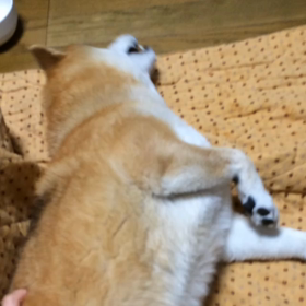 んがーっ！の画像