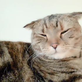 日付変わった(≧∇≦)の画像