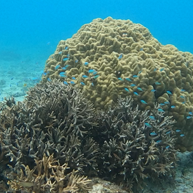 ☆シュミレーション☆の画像