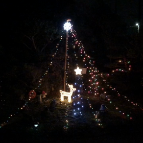 イルミネーションの画像