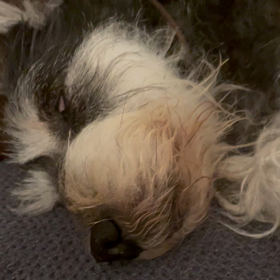 ギャップの画像