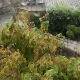 台風襲来の画像