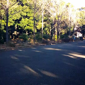 越谷春季記録会リレー選考会(男子)③の画像