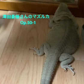 平和な悲愴と初マズルカOp.17-4と次男の成長の画像