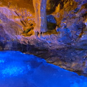 食べ過ぎ？＆脳神経回路作り208日目の画像