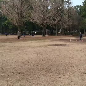 リレーバトン練習 女子①の画像