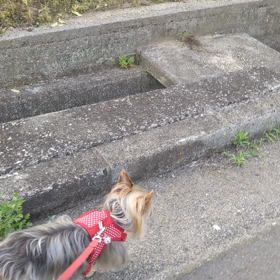 臭いです(´д｀|||)の画像