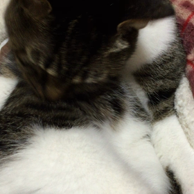 夜 その2の画像