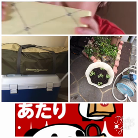 これから家事に！の画像