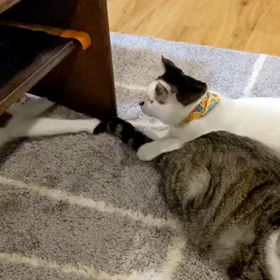 使えるものは何でも使え！の画像