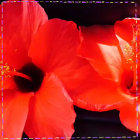 沢山の笑顔◡̈⃝の画像