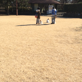 気ずくのおそ〜〜い！の画像