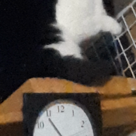 美々ちゃん、朝のごはん、今、食べたの？の画像