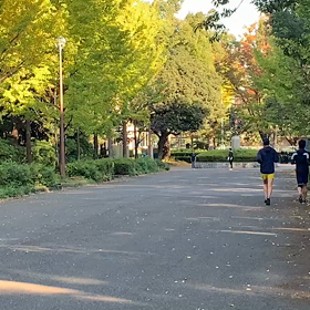 記録会 女子Dグループ⑥の画像
