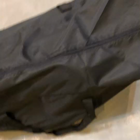 あの声で蜥蜴くらうかホトトギスの画像