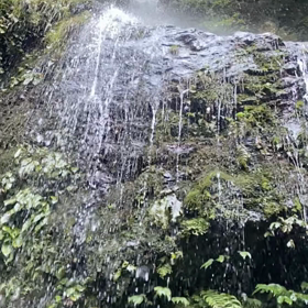 生きていることが、すべて(大じな爆笑)の画像