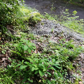 ソロキャンプ続きの画像