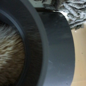 喰いながら寝るなの画像