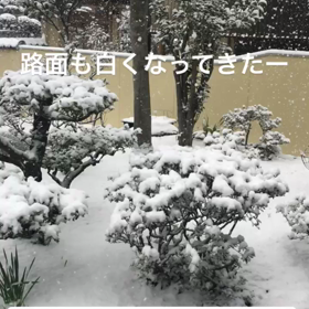 楽しみ方の画像