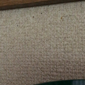 つい鼻歌しちゃうの画像