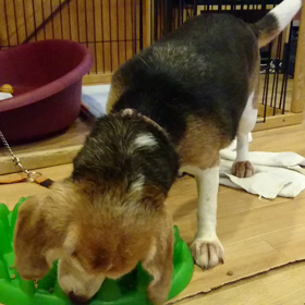 食べること大事だよねの画像