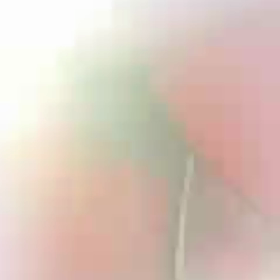 木はチップに加工してばら蒔きます…の画像