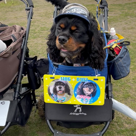 お疲れさまぁ♡の画像