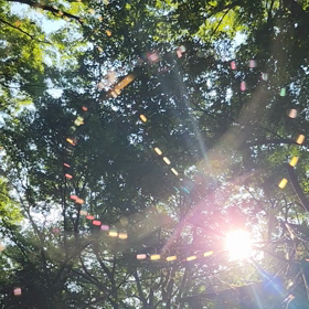 「ハレルヤ‼️」本当の意味の画像