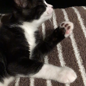 けんか。の画像