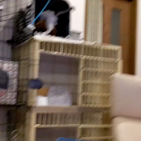 デストロイヤーの画像