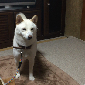 ビックリ^ ^の画像