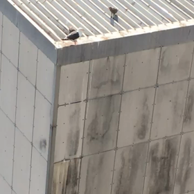 チャレンジ 第1ステップ突破！ 嬉しいなぁ^_^の画像