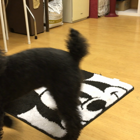 プリン編。の画像