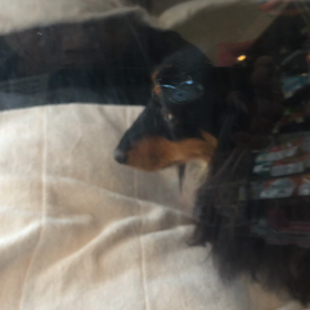 ⬛️8/23〜8/29＊酸素カプセルご利用のお友達⬛️の画像