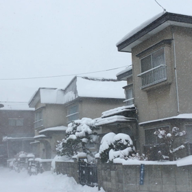 寒いです(T ^ T)の画像