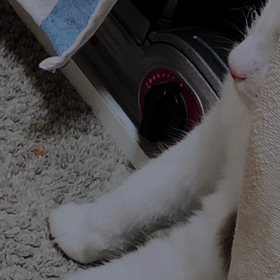 オステオパシーの画像