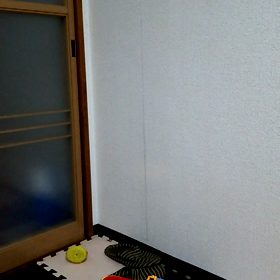 はいてますの画像