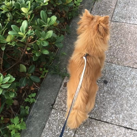 久々の外の画像