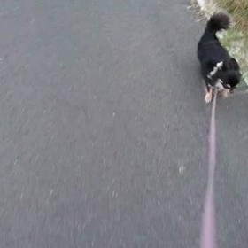 薬飲みました。の画像