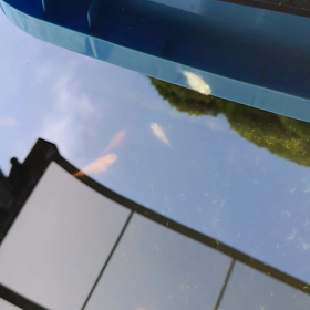 プニプニ泳ぐの画像