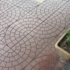 日本の朝の画像