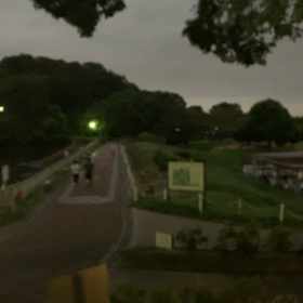 日没後の散歩の画像